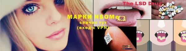 spice Алзамай