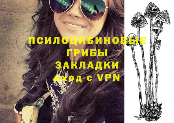 spice Алзамай