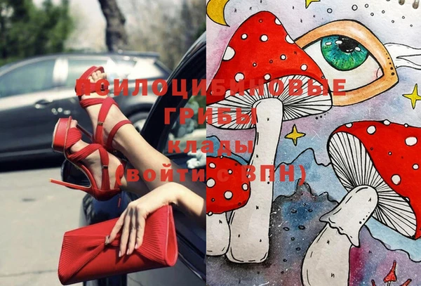 мдпв Алексин